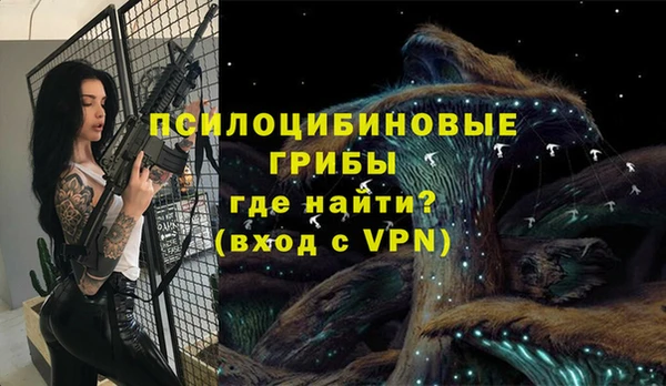 круглые Арсеньев
