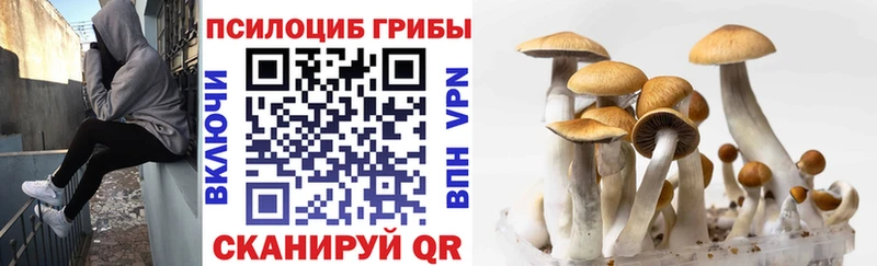 Галлюциногенные грибы MAGIC MUSHROOMS  ОМГ ОМГ   Осинники  что такое наркотик 