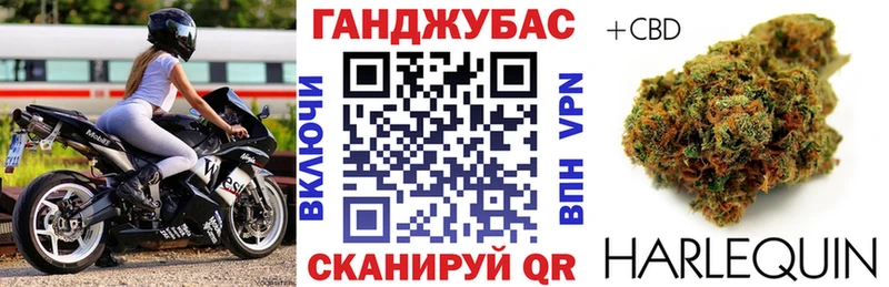 Конопля сатива Осинники